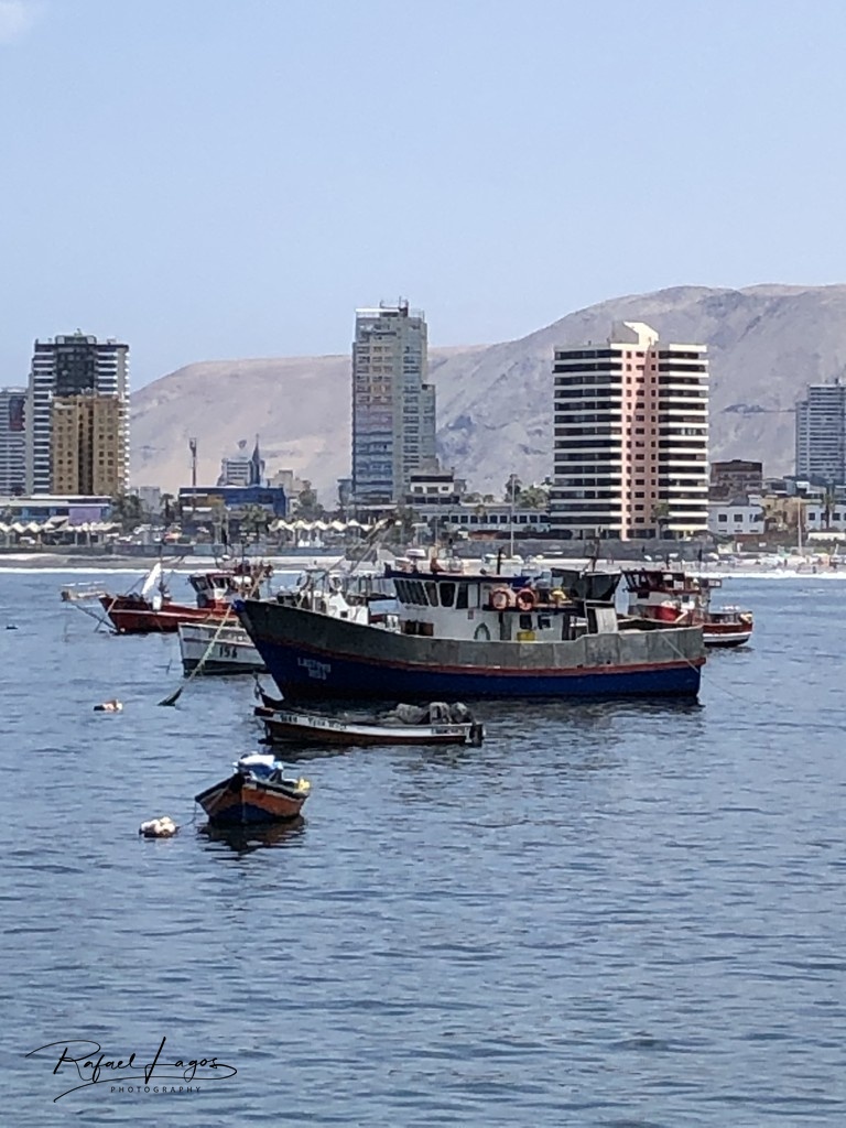 Iquique